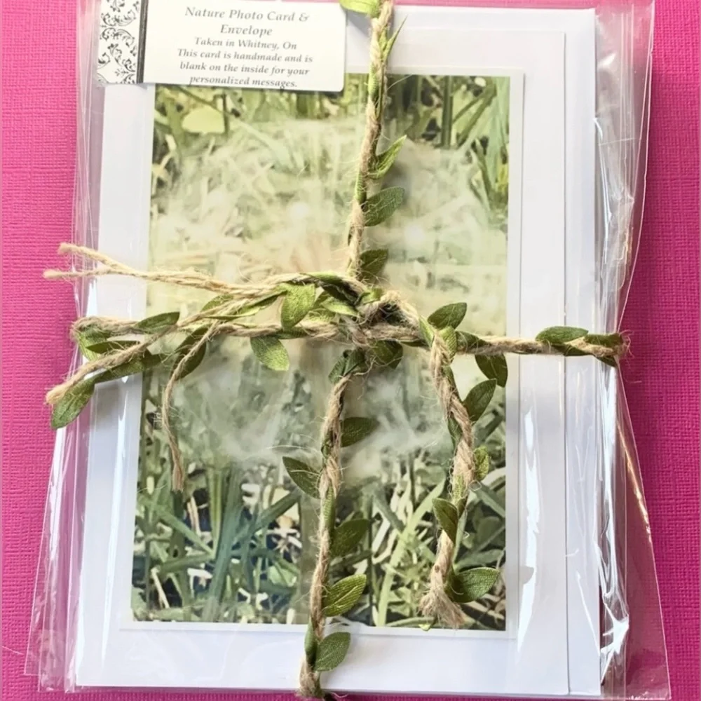2 for $30 Nature Photo Blank Greeting Cards. Algonquin Spring set of 4 - Picture 1 of 8
